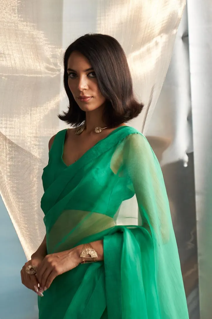 Mis'r Embroidered Organza Saree Sleeveless Blouse Set